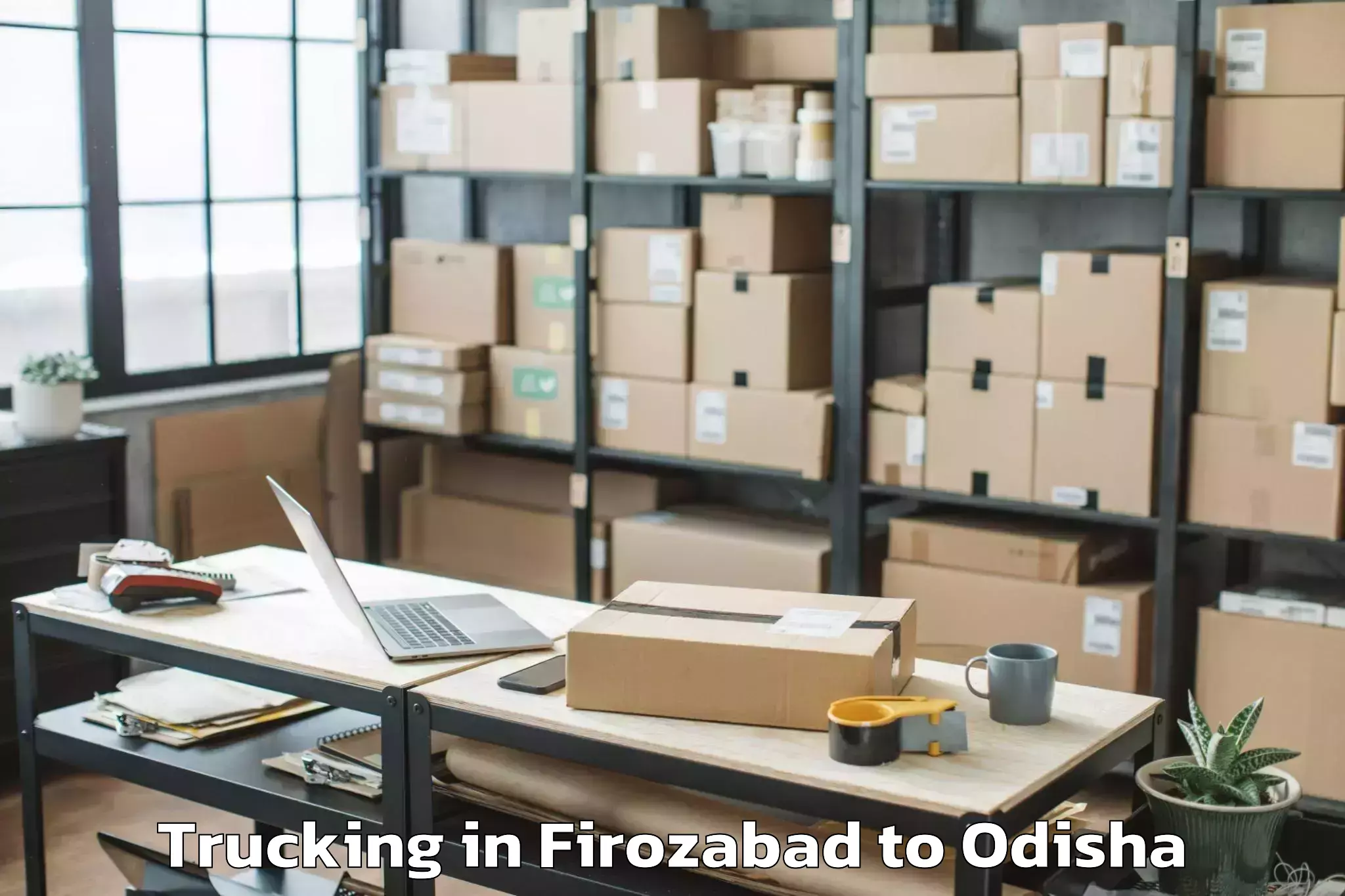 Leading Firozabad to Loisingha Trucking Provider